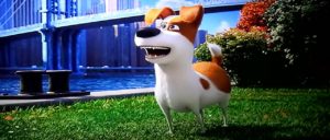 The Secret Life of Pets 2016 Full Movie Download