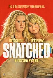 Snatched 2017 Dvdrip Full Movie Free Download