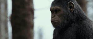 War For The Planet Of The Apes 2017 Full Movie Free Download Bluray